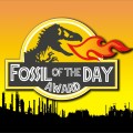 Fossil of the Day