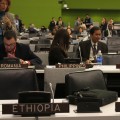 UNCSD Plenary 2011